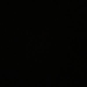 Meet your Posher, Gregory